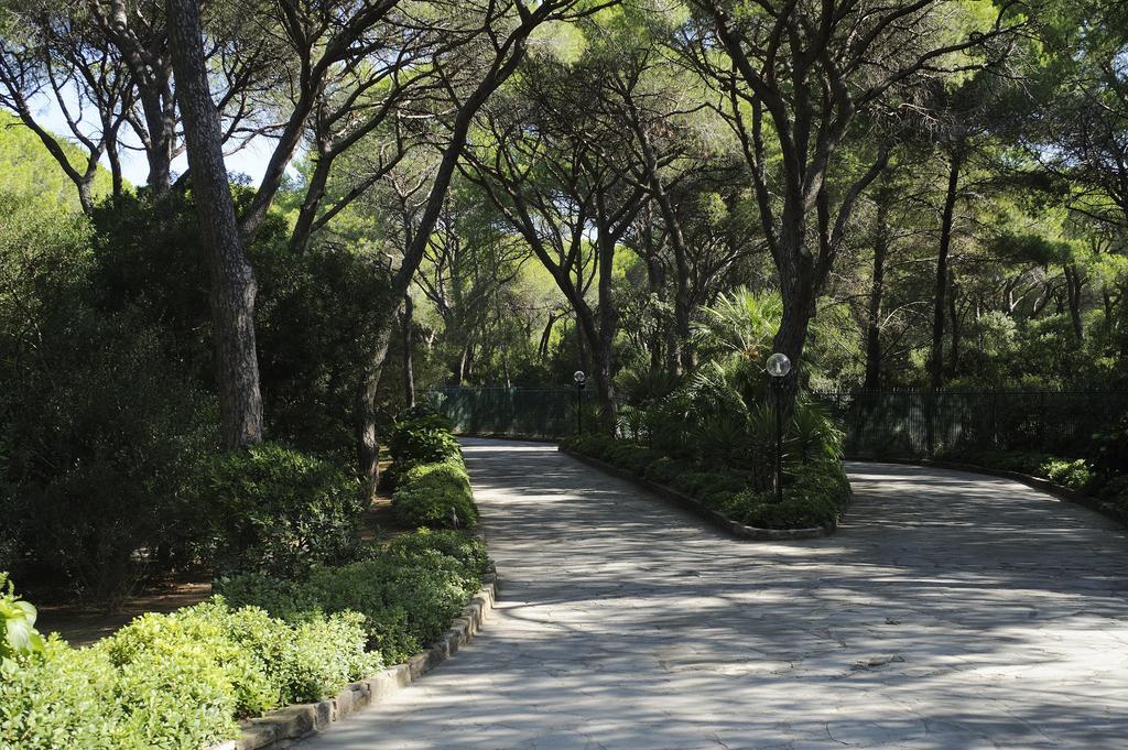 Roccamare Resort - Casa Di Ponente Castiglione della Pescaia Εξωτερικό φωτογραφία