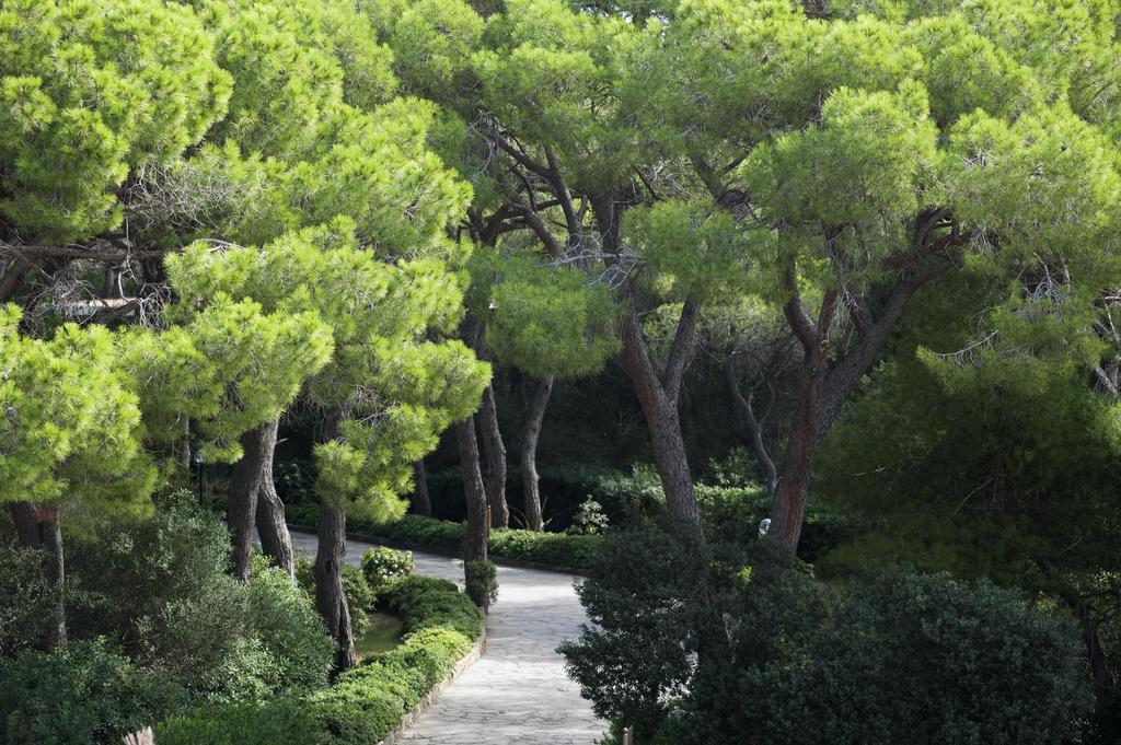 Roccamare Resort - Casa Di Ponente Castiglione della Pescaia Δωμάτιο φωτογραφία